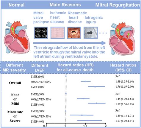 lv ejection fraction 55|mildly reduced Lv systolic function.